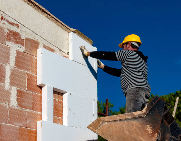 Best Insulation Contractors for Homes  in Davidson, NC