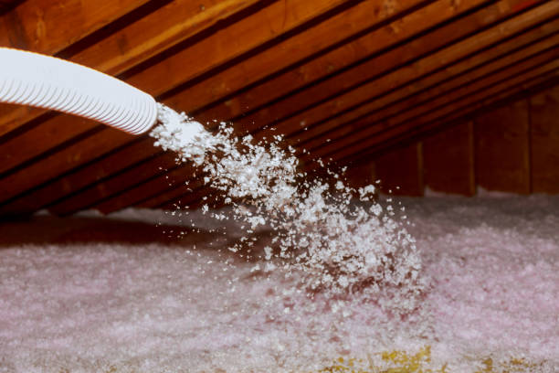 Best Crawl Space Insulation  in Davidson, NC