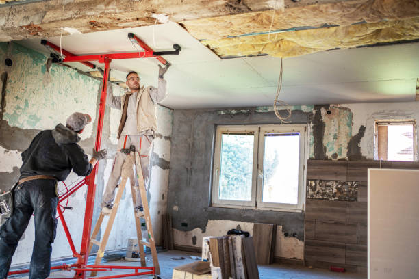 Best Insulation Repair Services  in Davidson, NC