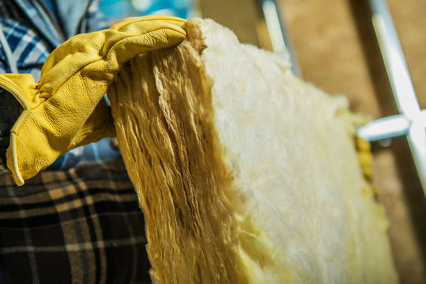 Best Garage Insulation Installation  in Davidson, NC
