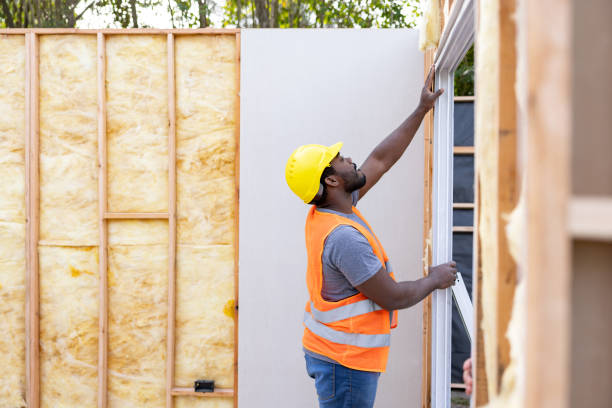 Best Insulation Removal Services  in Davidson, NC