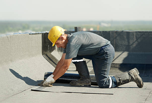 Best Fiberglass Insulation  in Davidson, NC