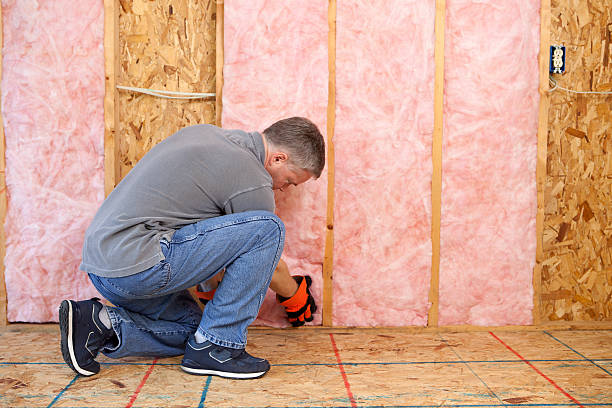 Best Commercial Insulation Contractor  in Davidson, NC