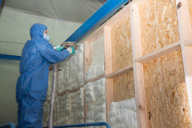 Best Attic Insulation Installation  in Davidson, NC