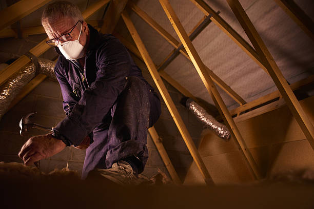 Best Attic Insulation Installation  in Davidson, NC