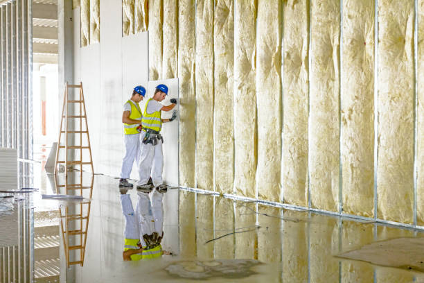 Best Insulation Inspection Services  in Davidson, NC